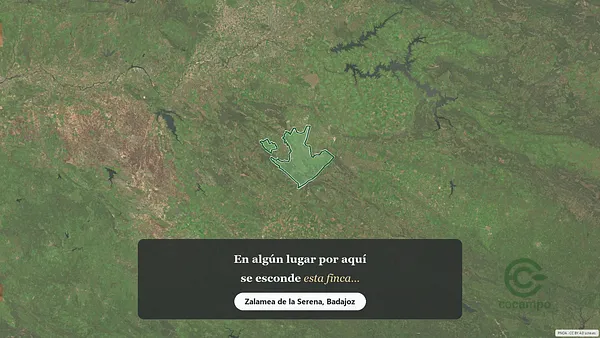 Spot image