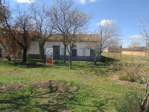 Spot image