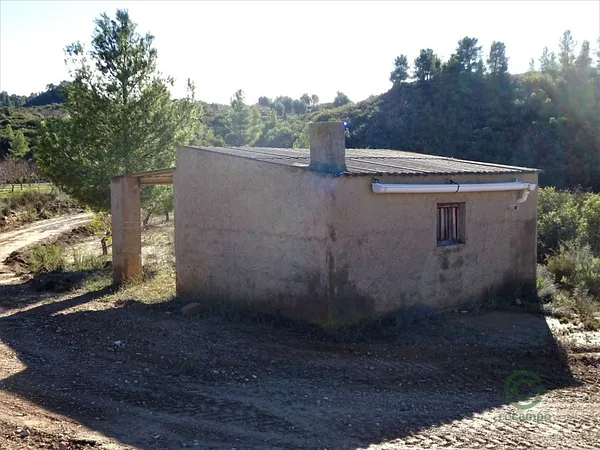 Spot image