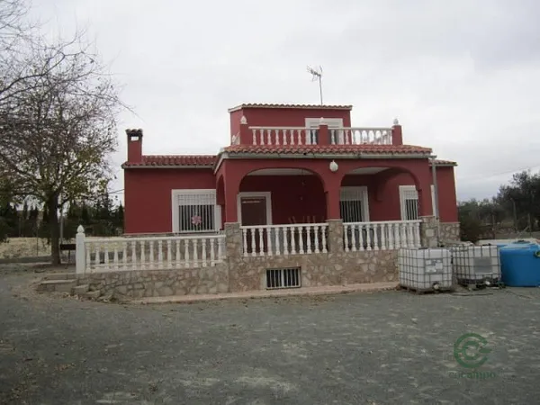 Spot image