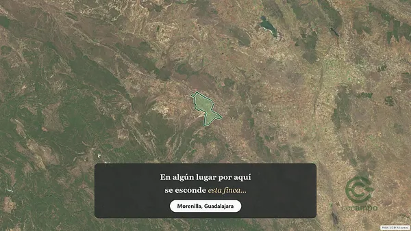 Spot image