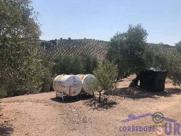 Finca rústica de 1,97 ha en venta en Córdoba, Córdoba