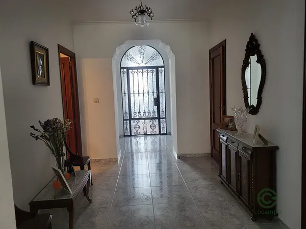 Spot image