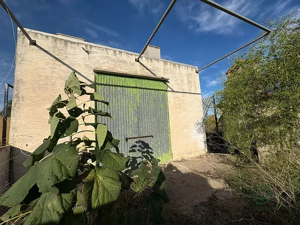 Spot image