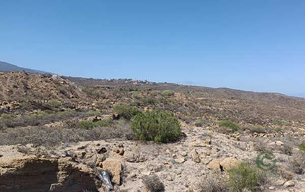 Spot image