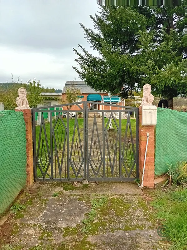 Spot image