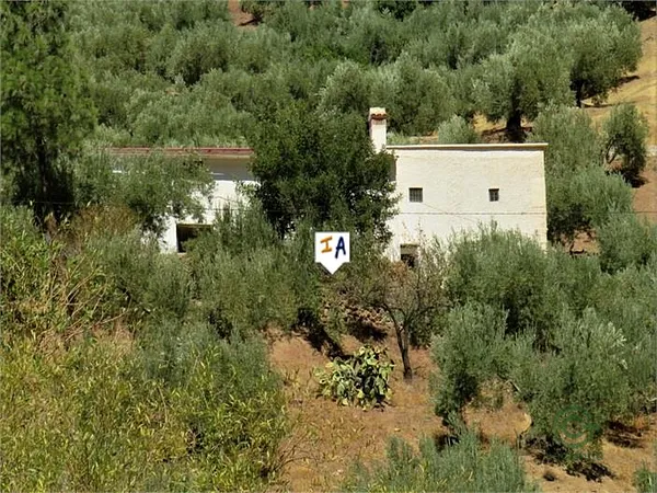 Finca rústica de 1,6 ha en venta en Fuensanta de Martos, Jaen