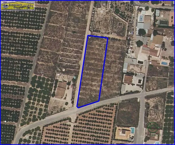 Spot image