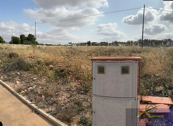 Spot image