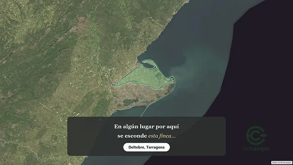 Spot image