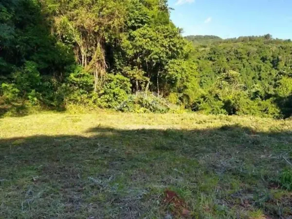 Fazenda rustica de 7 ha para venda em Rio grande do sul