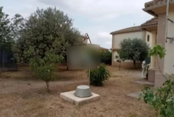 Spot image