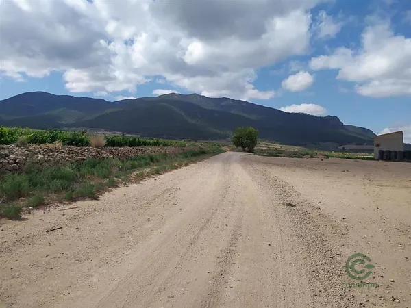 Finca rústica de 6,41 ha en venta en Jumilla, Murcia
