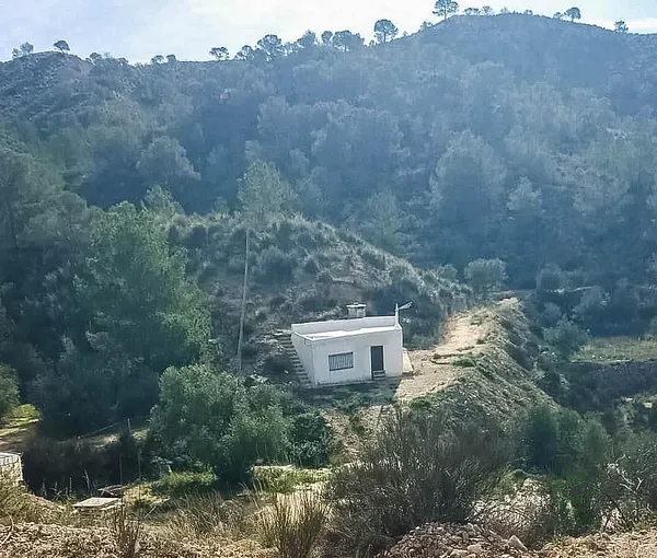 Spot image
