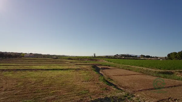 Finca agrícola de 11 ha en venta en Murcia