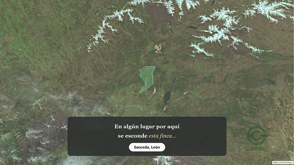 Spot image