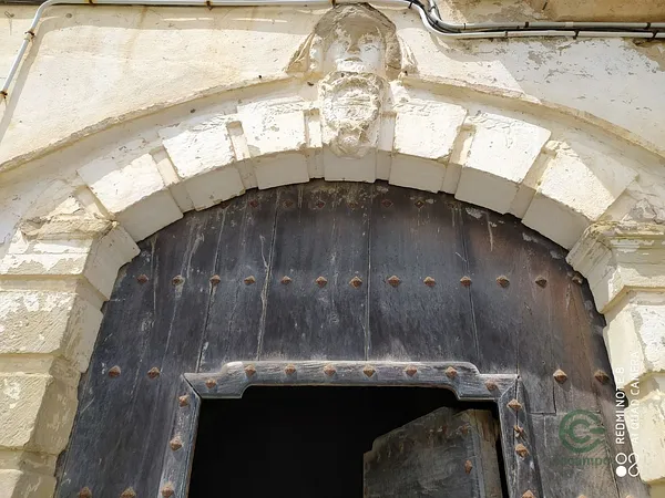 Spot image