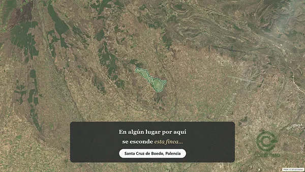 Spot image