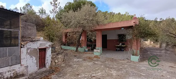 Spot image