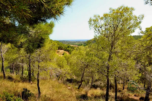 Finca rústica de 1,0209 ha en venta en Altea, Alicante