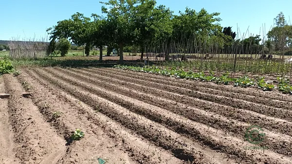 Finca agrícola de 0,46 ha en venta en Girona