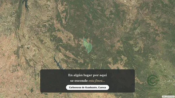 Spot image