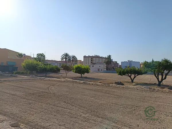 Spot image