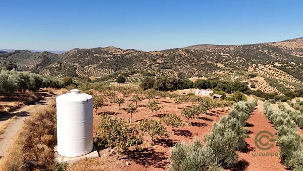 Rustic property of 5,0043 ha for sale in Montefrío, Granada
