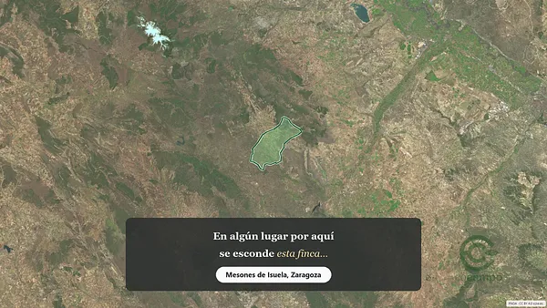 Spot image