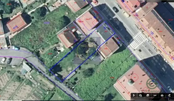 Spot image