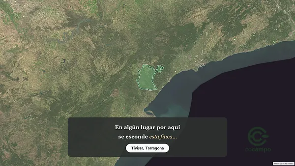 Spot image