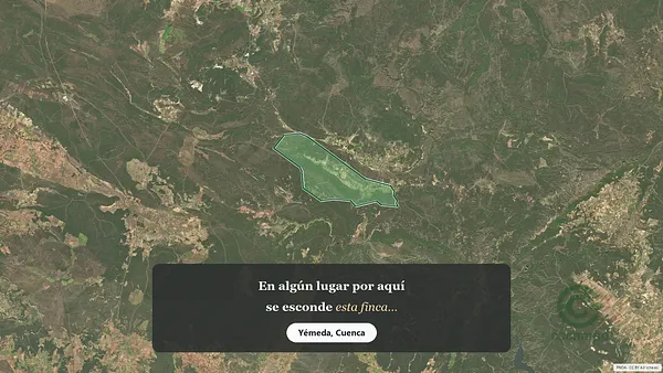 Spot image