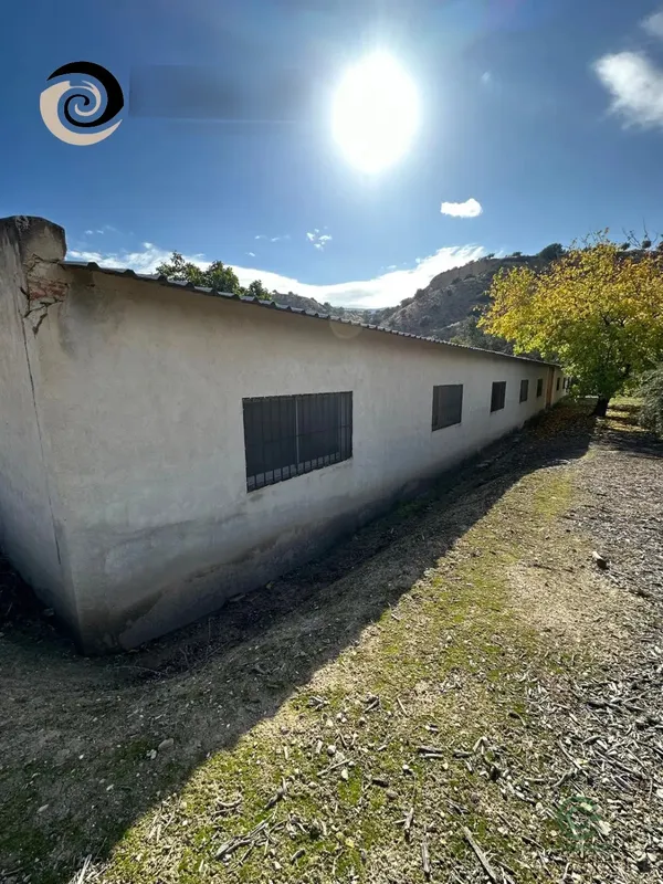 Spot image