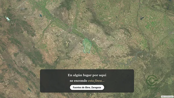 Spot image
