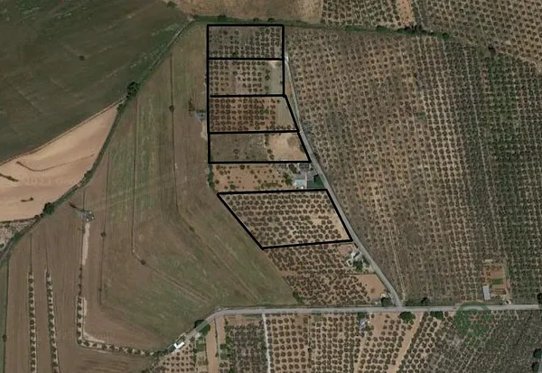 Spot image