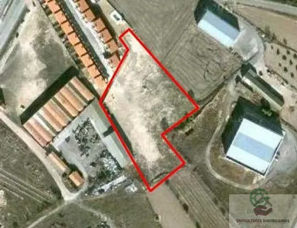 Spot image