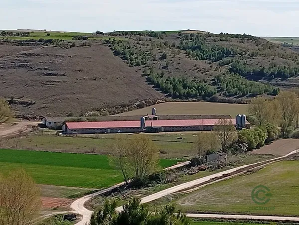 Finca agrícola de 0,1 ha en venta en Burgos