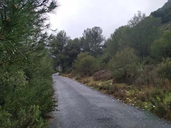 Spot image