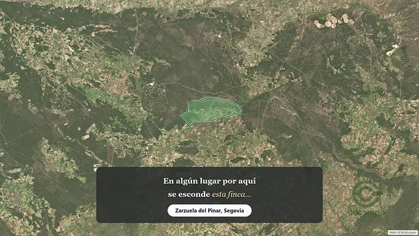 Spot image