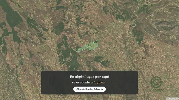 Spot image