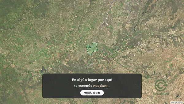 Spot image