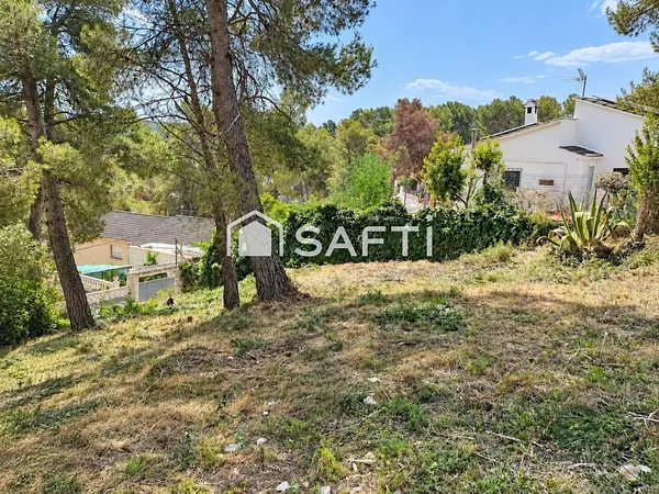 Spot image
