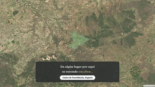 Spot image