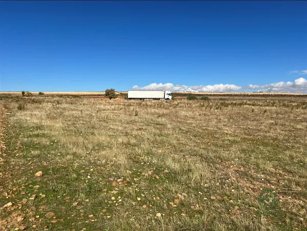 Spot image