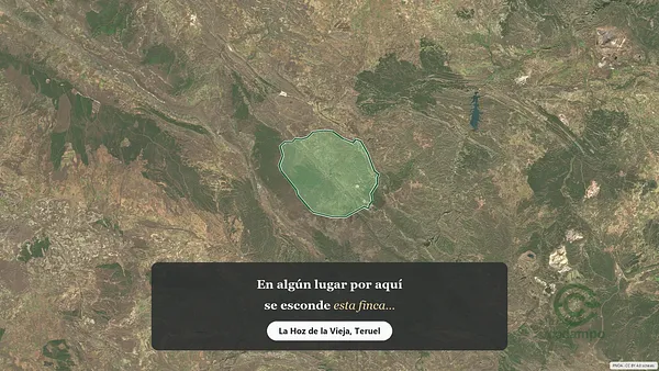 Spot image