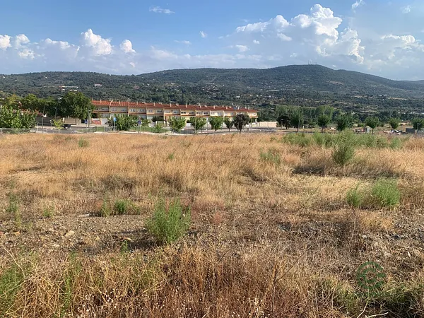 Spot image