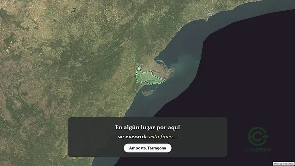 Spot image