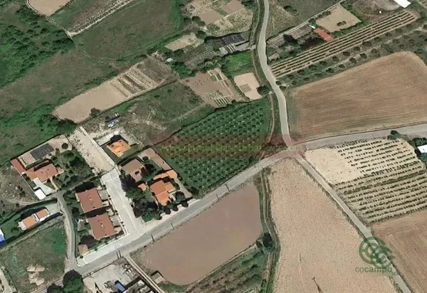 Spot image