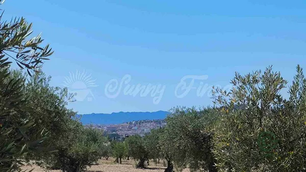 Spot image