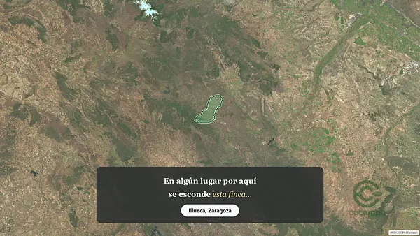 Spot image